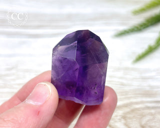 Bahia Amethyst Tower #15