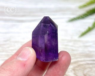 Bahia Amethyst Tower #15