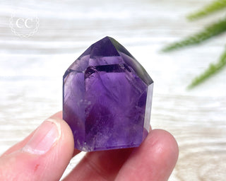 Bahia Amethyst Tower #15