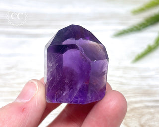 Bahia Amethyst Tower #15