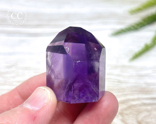 Bahia Amethyst Tower #15