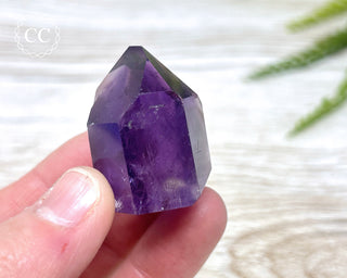 Bahia Amethyst Tower #15