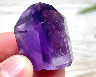 Bahia Amethyst Tower #15