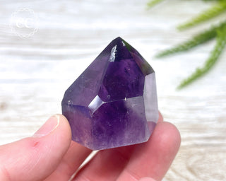 Bahia Amethyst Tower #2