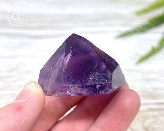 Bahia Amethyst Tower #16