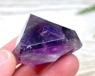 Bahia Amethyst Tower #16