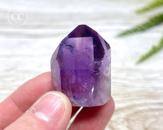 Bahia Amethyst Tower #17