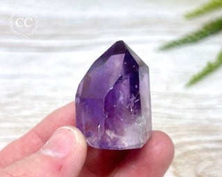 Bahia Amethyst Tower #17