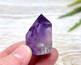 Bahia Amethyst Tower #17