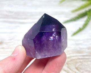 Bahia Amethyst Tower #2