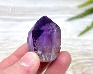 Bahia Amethyst Tower #17