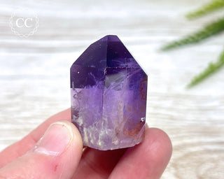 Bahia Amethyst Tower #17