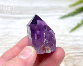 Bahia Amethyst Tower #17