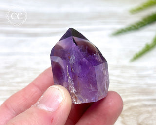 Bahia Amethyst Tower #17