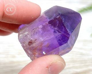 Bahia Amethyst Tower #17