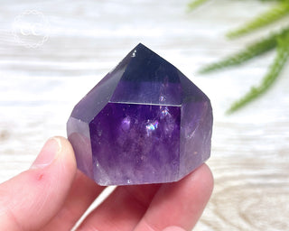 Bahia Amethyst Tower #2