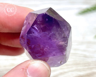 Bahia Amethyst Tower #17