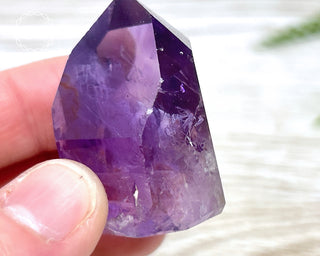 Bahia Amethyst Tower #17