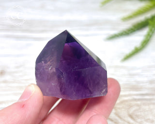 Bahia Amethyst Tower #2