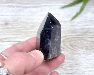 Bahia Amethyst Tower #1