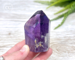 Bahia Amethyst Tower #3