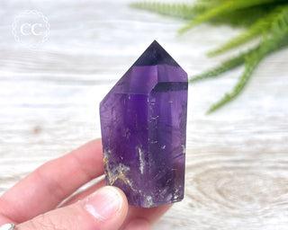 Bahia Amethyst Tower #3