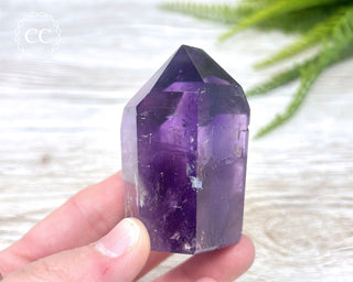 Bahia Amethyst Tower #3