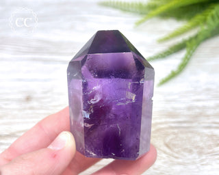 Bahia Amethyst Tower #3