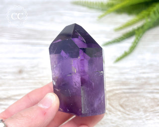 Bahia Amethyst Tower #3