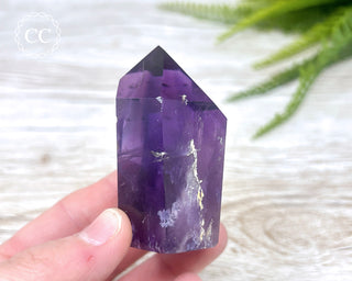 Bahia Amethyst Tower #3