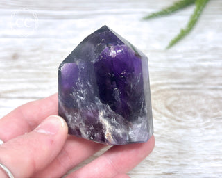 Bahia Amethyst Tower #1