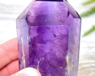 Bahia Amethyst Tower #3