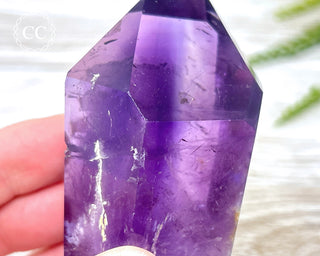 Bahia Amethyst Tower #3