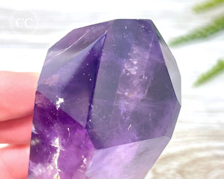 Bahia Amethyst Tower #3