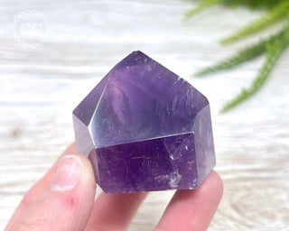 Bahia Amethyst Tower #4