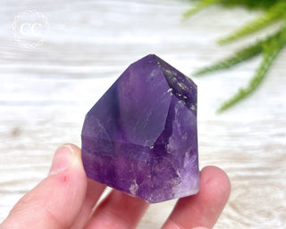 Bahia Amethyst Tower #4