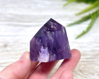 Bahia Amethyst Tower #4
