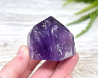 Bahia Amethyst Tower #4