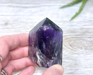 Bahia Amethyst Tower #1