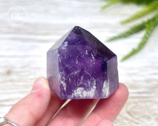 Bahia Amethyst Tower #4