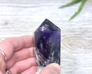 Bahia Amethyst Tower #1