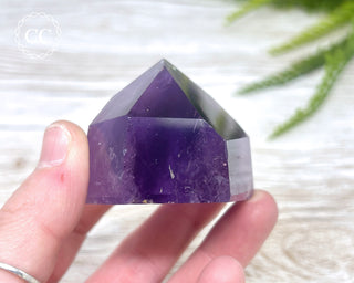 Bahia Amethyst Tower #4