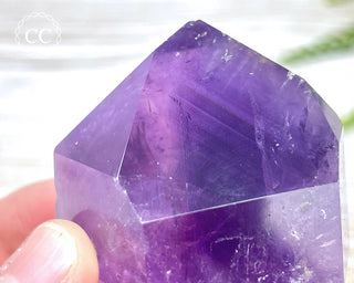 Bahia Amethyst Tower #4