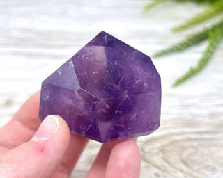 Bahia Amethyst Tower #5