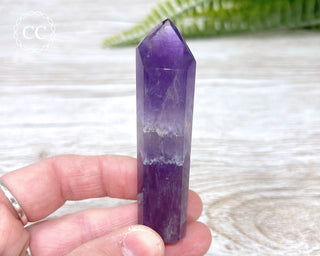 Bahia Amethyst Tower #5