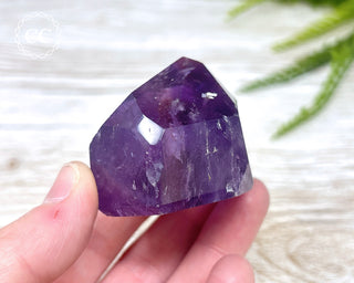Bahia Amethyst Tower #5
