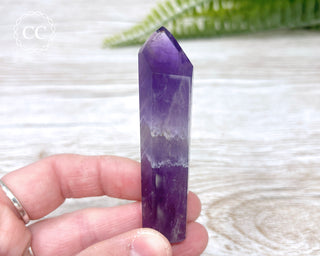 Bahia Amethyst Tower #5