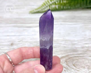 Bahia Amethyst Tower #5