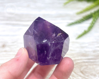 Bahia Amethyst Tower #5