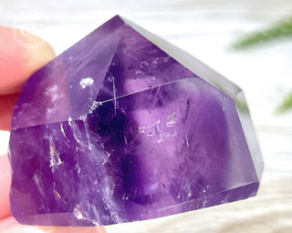 Bahia Amethyst Tower #5